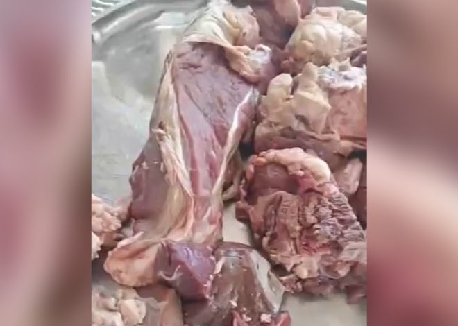 İcra Hakimiyyətinin göndərdiyi qurban əti köhnə olub? – Açıqlama