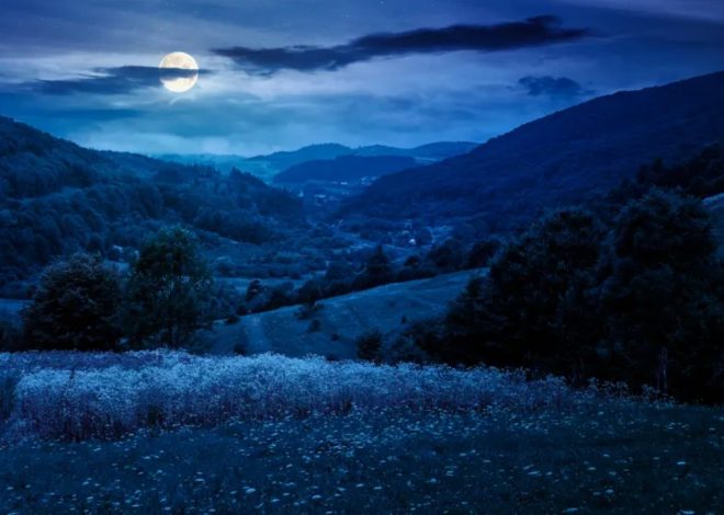 Bu gecə nadir astronomik hadisə baş verəcək