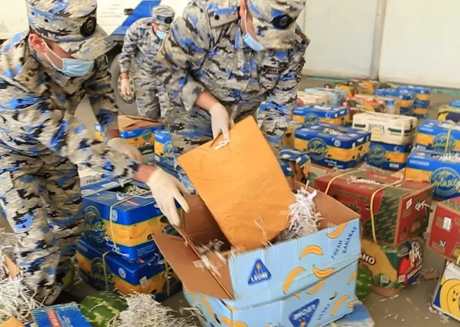 Qarpız yükündə 110 kiloqramdan artıq narkotik vasitə aşkar edilib