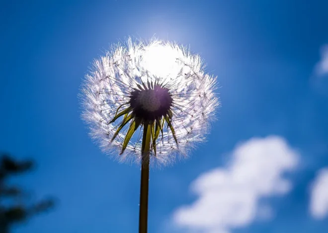Bu gün hava necə olacaq?