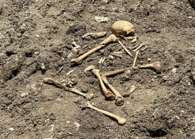 Ağdamda insan skeletinə bənzər qalıqlar aşkarlanıb