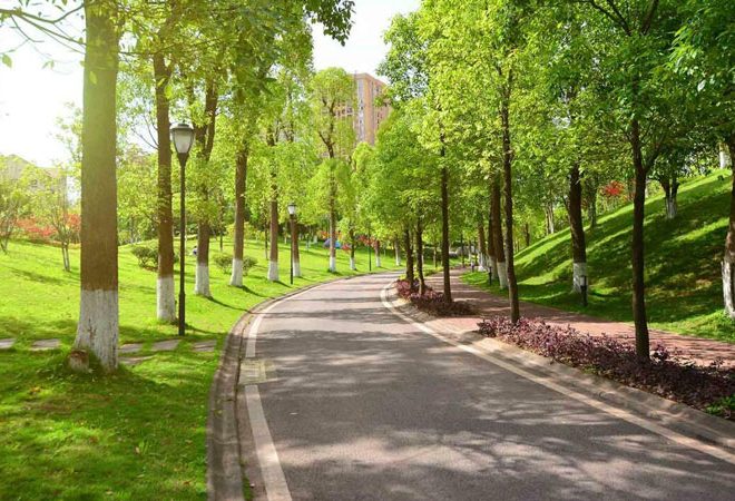 Bakının mərkəzində 12 hektarlıq yeni park salınacaq
