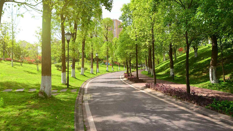 Bakının mərkəzində 12 hektarlıq yeni park salınacaq