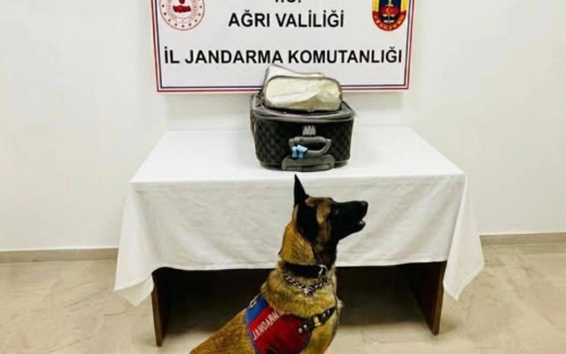 Türkiyədə Azərbaycan vətəndaşından külli miqdarda narkotik götürüldü