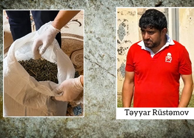 Ağcabədidə çətənə kolları və 7 kiloqramdan artıq marixuana aşkarlanıb