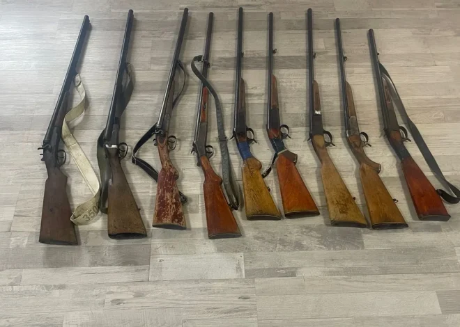 Ötən gün 10 silah aşkarlanaraq götürülüb