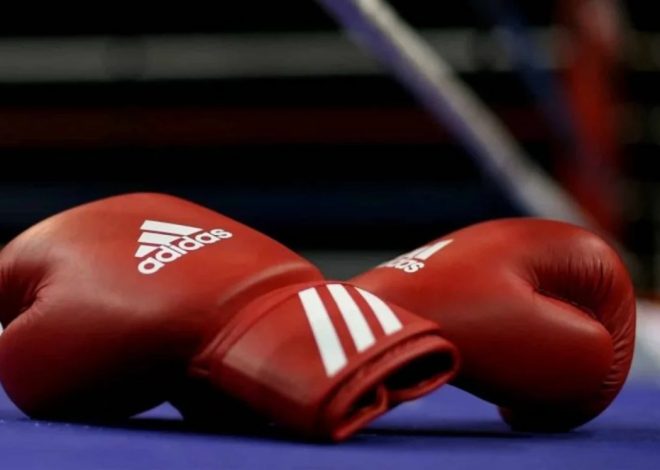 Bakıda boks üzrə İBA Çempionlar Gecəsi keçiriləcək