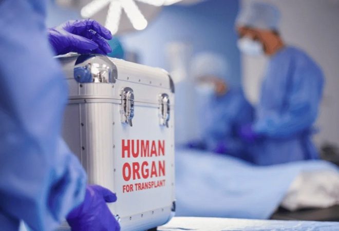 Səhiyyə Nazirliyi: Bu il 60-a yaxın böyrək, 30-a yaxın qaraciyər transplantasiyası icra edilib