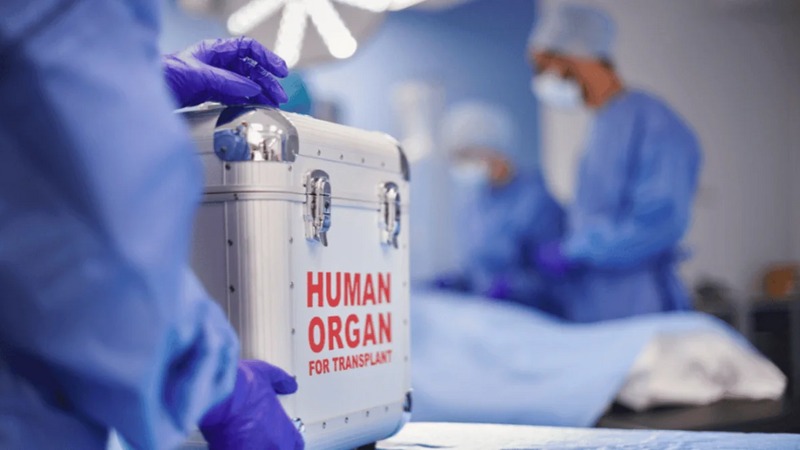 Səhiyyə Nazirliyi: Bu il 60-a yaxın böyrək, 30-a yaxın qaraciyər transplantasiyası icra edilib