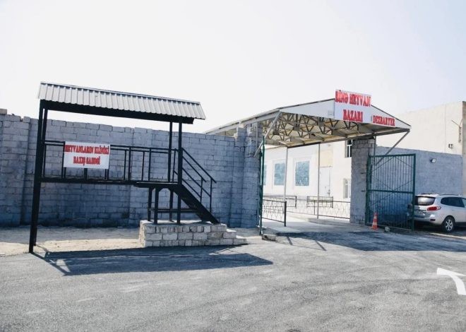 Bu yaxınlarda Xaçmaz heyvan bazarı fəaliyyətə başlayacaq