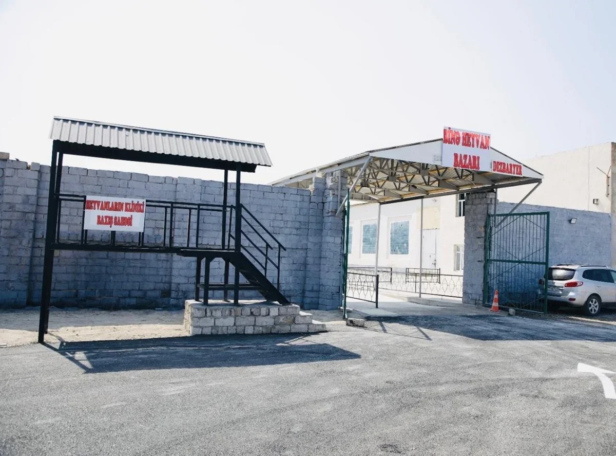 Bu yaxınlarda Xaçmaz heyvan bazarı fəaliyyətə başlayacaq