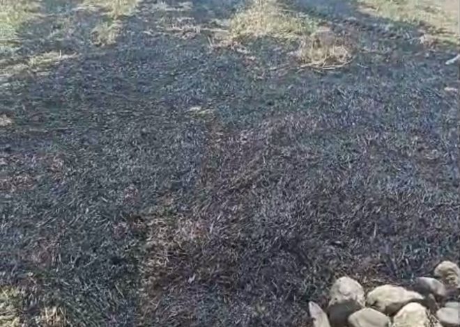 Oğuzda yanğın törədən şəxs məsuliyyətə cəlb olunub