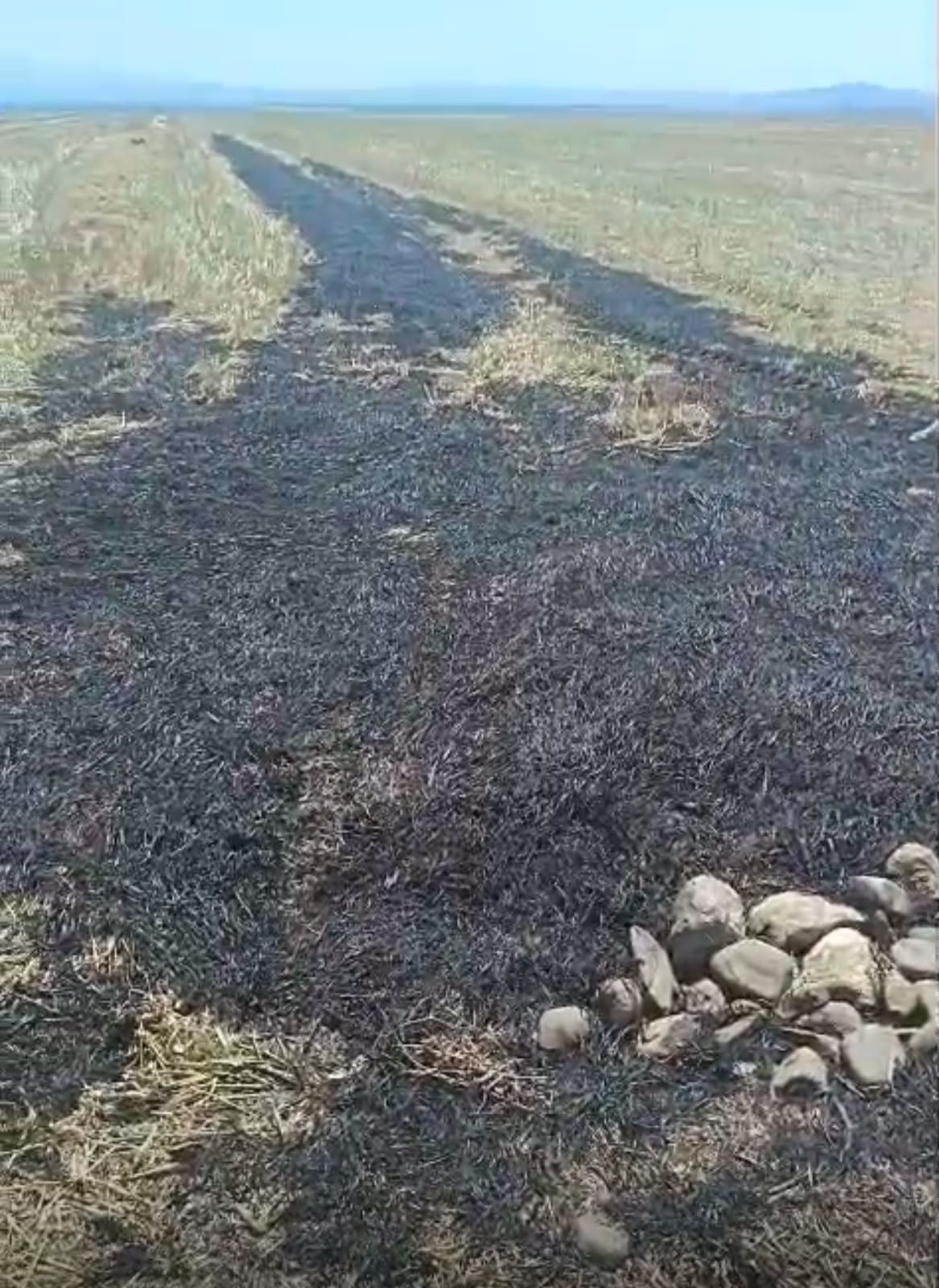 Oğuzda yanğın törədən şəxs məsuliyyətə cəlb olunub