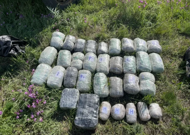 Son bir ayda 372 kiloqram narkotik vasitə dövriyədən çıxarılıb