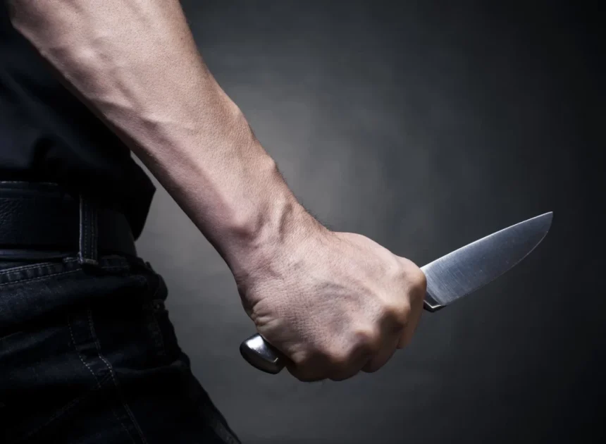 Goranboyda 33 yaşlı kişi qətlə yetirilib, atası saxlanılıb