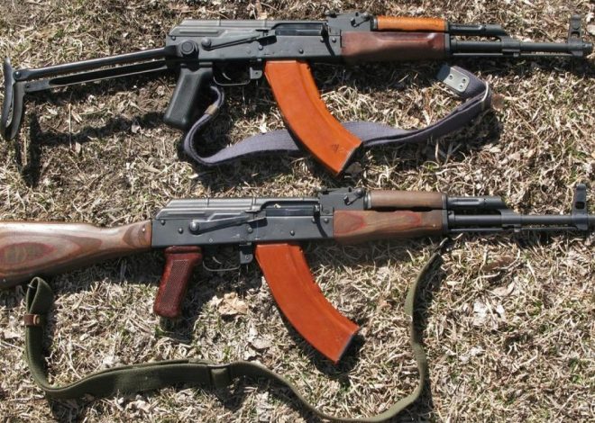 Ötən gün 2 avtomat silahı, 6 tüfəng aşkarlanıb