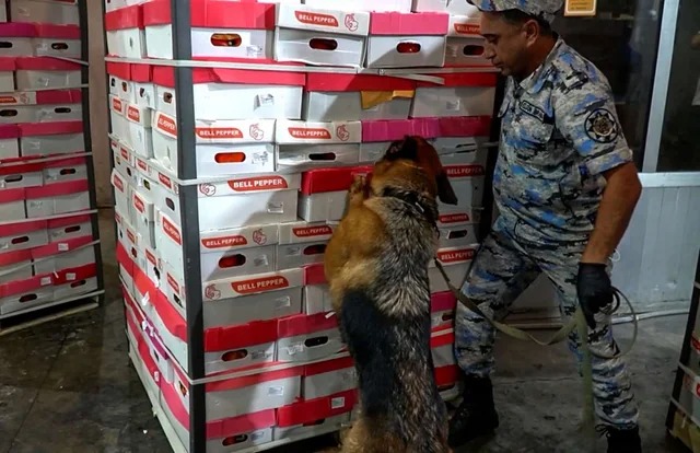 İrandan Rusiyaya bibərlərin arasında narkotik aparmaq istədilər