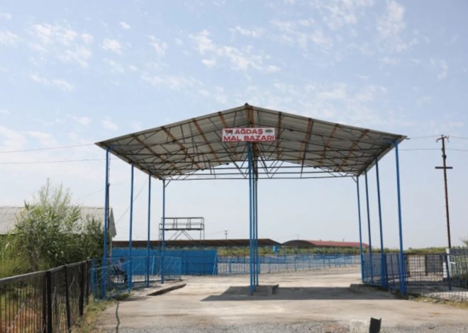 Ağdaş heyvan satışı bazarı fəaliyyətə başlayıb