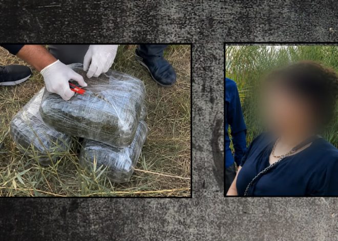 İmişlidə 10 kiloqram narkotik vasitə aşkarlanıb