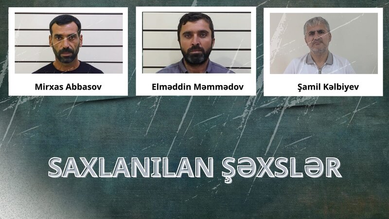 Lənkəranda narkotik tərkibli bitki yetişdirənlər həbs edildi