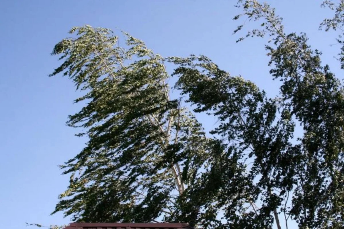 Bu gün hava necə olacaq?