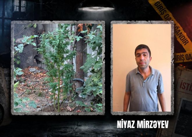 Göyçayda narkotik tərkibli bitkilər yetişdirən şəxs tutulub