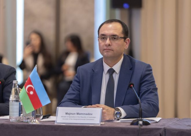 Nazir onu şöbə müdiri təyin etdi