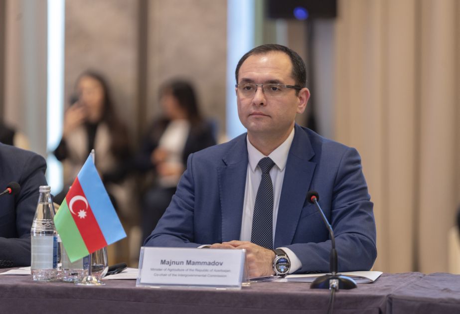 Nazir onu şöbə müdiri təyin etdi