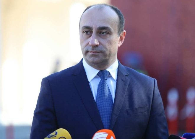 Gürcüstan DTX-nın rəhbəri istefa verib