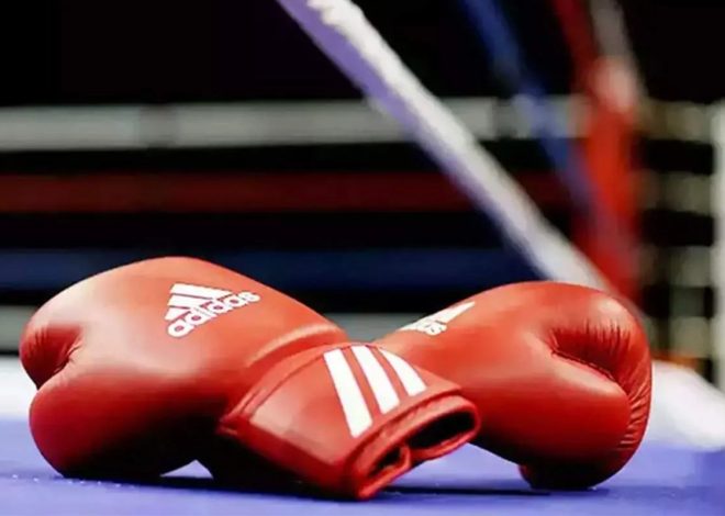 Azərbaycan boksçuları Sofiyada keçiriləcək Avropa çempionatında iştirak edəcəklər