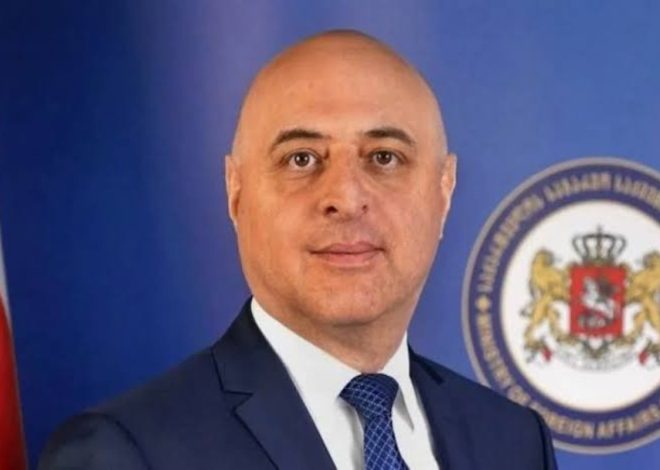 Gürcüstan Azərbaycana yeni səfir təyin edib