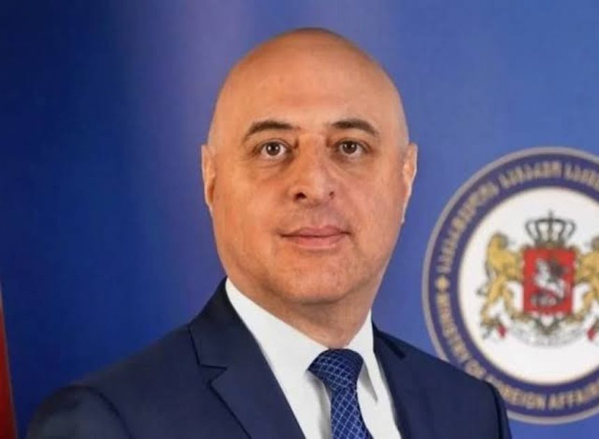 Gürcüstan Azərbaycana yeni səfir təyin edib
