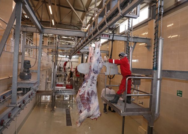 AQTA: 33 rayon və şəhərdə müasir heyvan kəsimi məntəqələri qurulmalıdır