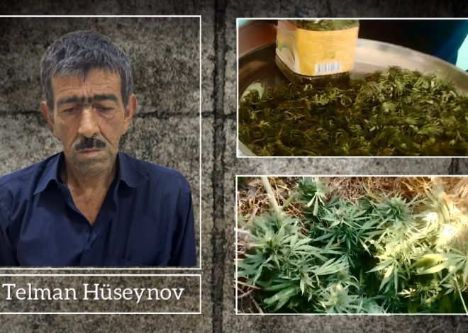 Ucarda narkotik tərkibli bitkilər yetişdirən şəxs saxlanılıb