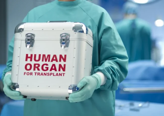 Bakıdakı tibb müəssisələrinin birində kök hüceyrələrin transplantasiyası həyata keçiriləcək – QƏRAR