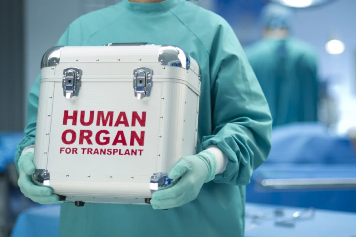Bakıdakı tibb müəssisələrinin birində kök hüceyrələrin transplantasiyası həyata keçiriləcək – QƏRAR