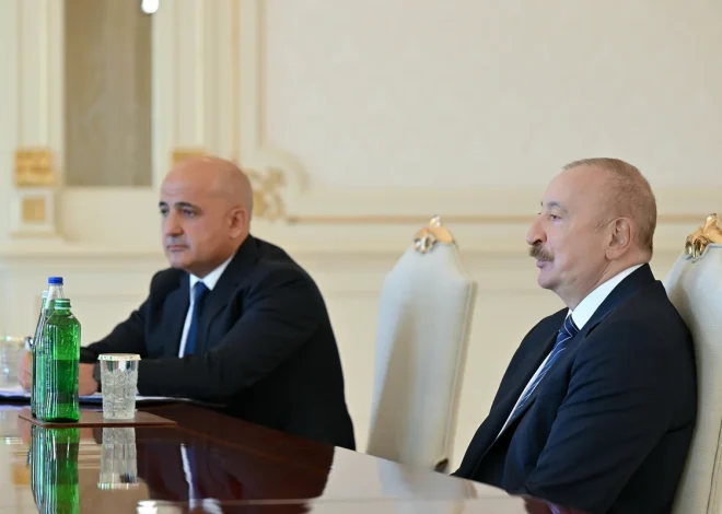 Prezident dünyanın aparıcı investisiya şirkətlərindən birinin baş icraçı direktorunu qəbul edib