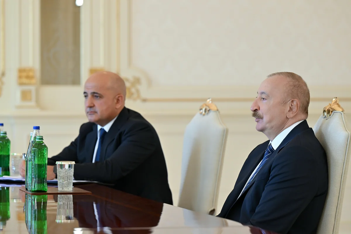 Prezident dünyanın aparıcı investisiya şirkətlərindən birinin baş icraçı direktorunu qəbul edib