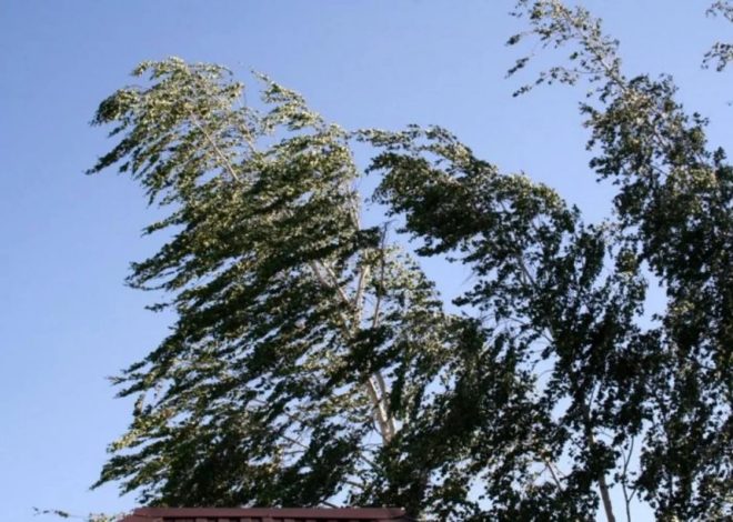 Bakıda və rayonlarda külək güclənəcək – Sarı xəbərdarlıq