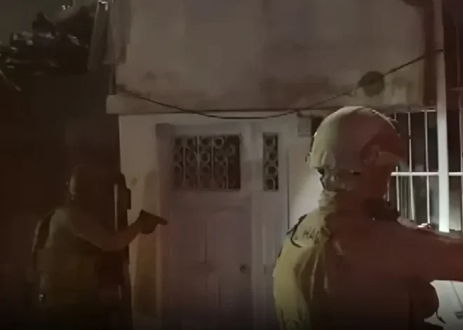 Türkiyədə cinayətkar qruplaşmalara qarşı əməliyyat zamanı 73 şübhəli həbs edilib